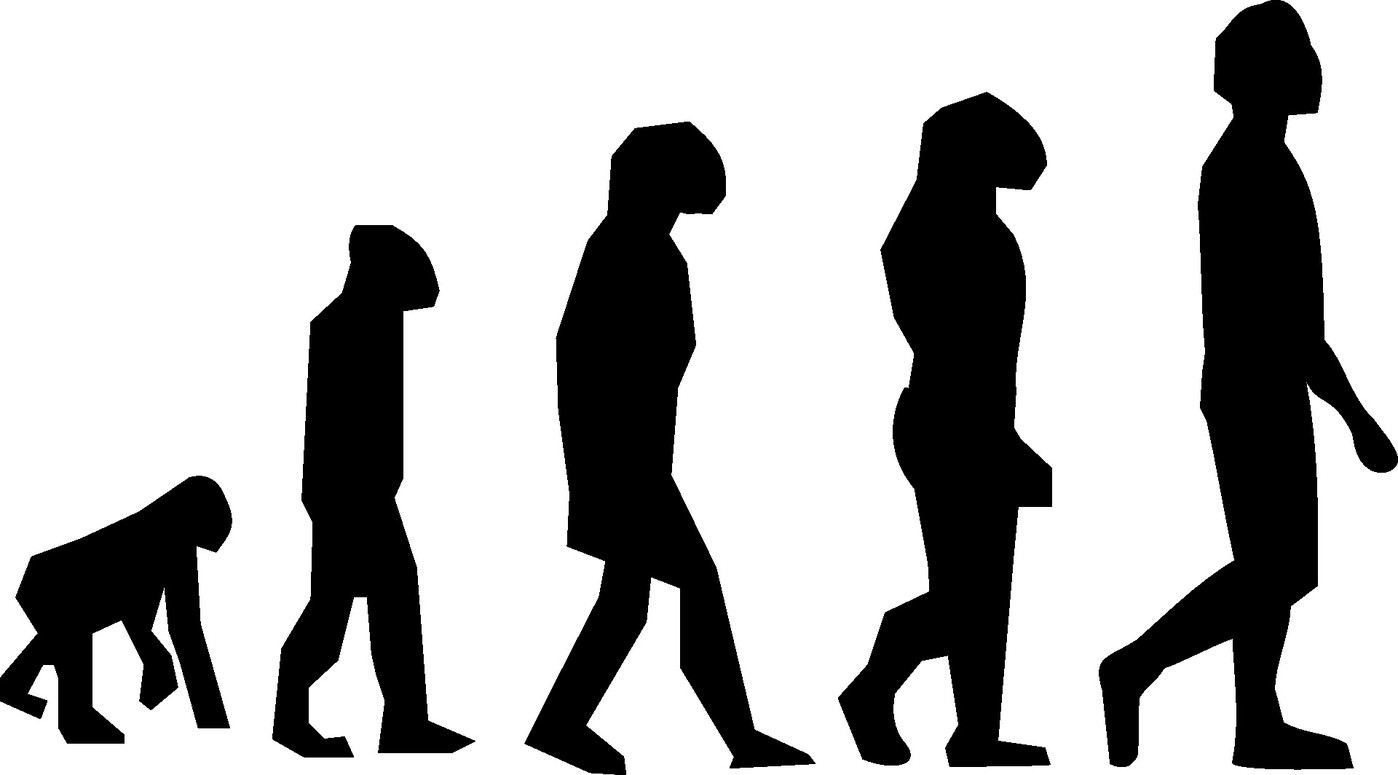 ¿Darwinismo o creacionismo?